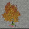 3D Tree Model Display with Red Yellow Autumn Leaves and Square Paving 3d model