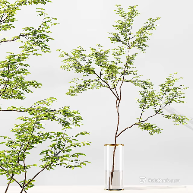 Clear Glass Vase With Fresh Green Leaf Branches Against White Background 3d model 
