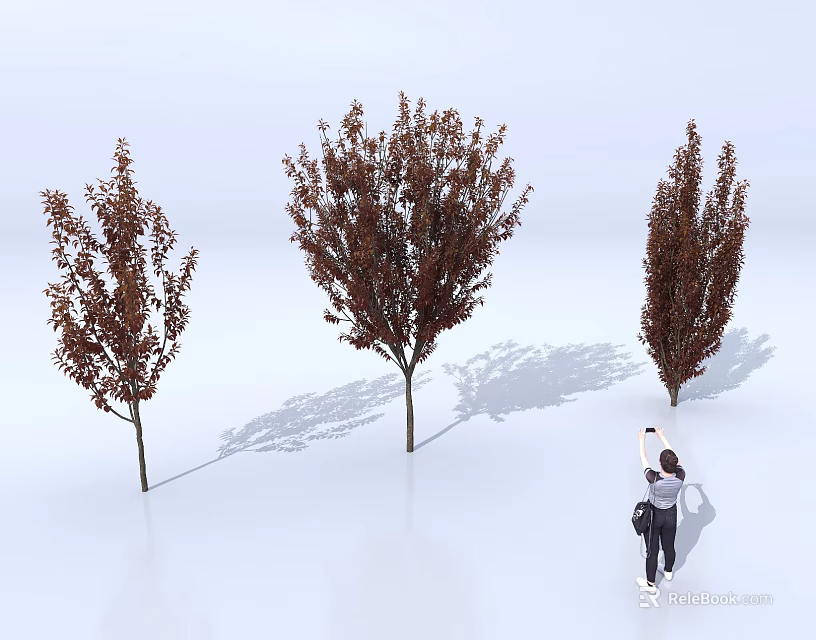 Brown Leaf Deciduous Trees With Three Specimens And Photographer On White Background 3d model