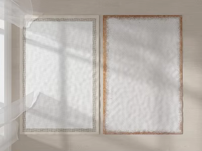 Two Square Rugs With Light Gray And Brown Borders On White Floor 3d model