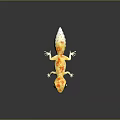 Colorful Reptile Gecko With Yellow Orange Patterns White Body Large Eyes On Black Reflective Surface
