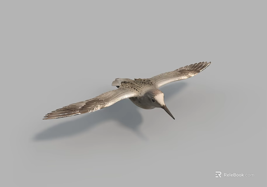 Flying Bird With Outstretched Wings Grey Plumage And Slender Beak Against Sky 3d model 