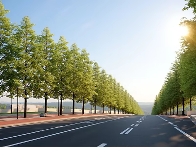 Lined Street Trees As Plant Combination With Green Foliage Along Urban Road In Sunlight 3d model