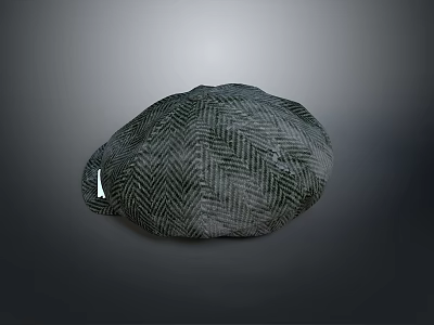 Dark Colored Herringbone Pattern Fabric Hat with Round Top Shape and Small Side Label 3d model