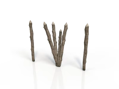 Isolated Natural Dry Wooden Sticks Decorative Arrangement On White Background 3d model