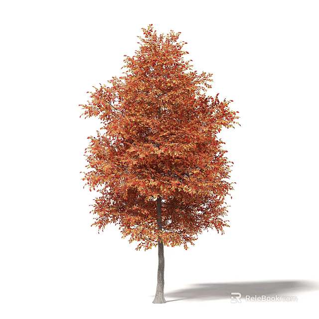 Tall Autumn Arbor With Vibrant Red Orange Leaves And Dense Foliage 3d model 