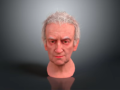 Realistic Elderly Man With Gray Hair Serious Expression Head On Gray Gradient Background With Reflection 3d model