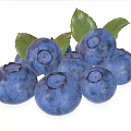 Fresh Blueberries With Vibrant Blue Color And Green Leaves On White Background