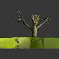 Natural Leafless Wooden Tree Trunk Surrounded By Green Grass And Fresh Soil In Outdoor View