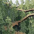 Park Landscape with Winding Wooden Walkway Among Lush Green Trees