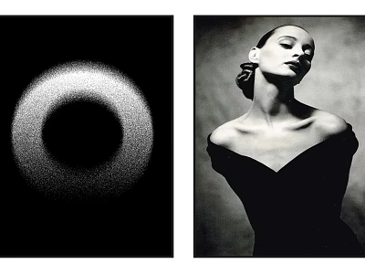 Black And White Abstract Artwork With Circular Pattern And Elegant Female Portrait 3d model
