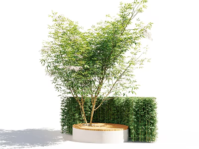 Outdoor Chair In Garden With Green Hedge Leafy Tree And White Circular Base 3d model