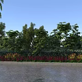 Woman standing near road with palm trees green trees flower bed and blue sky