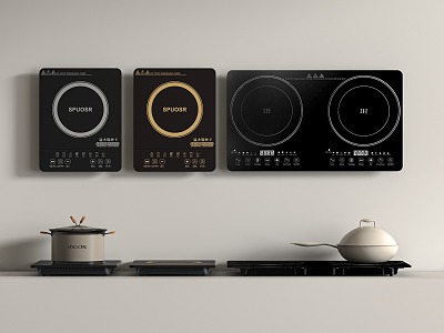 induction cooker model