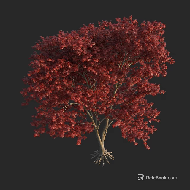 Red Leaf Arbor with Lush Canopy Vibrant Foliage and Exposed Roots 3d model 