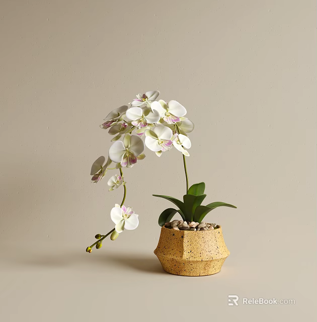 Elegant White Orchids in Beige Hexagonal Textured Vase with Green Leaves 3d model 