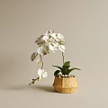 Elegant White Orchids in Beige Hexagonal Textured Vase with Green Leaves