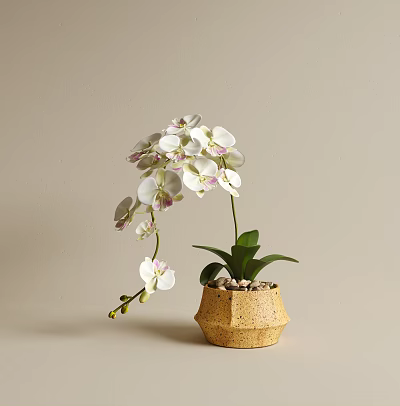 Elegant White Orchids in Beige Hexagonal Textured Vase with Green Leaves 3d model