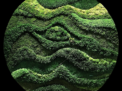 Green plant wall model