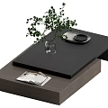 Two Tier Black Top Wooden Coffee Table With Clear Glass Vase Green Plant And Book
