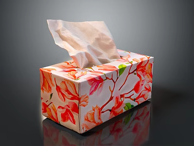Decorative Tissue Box With Red And Orange Leaf Pattern And Pulled Out Tissue 3d model