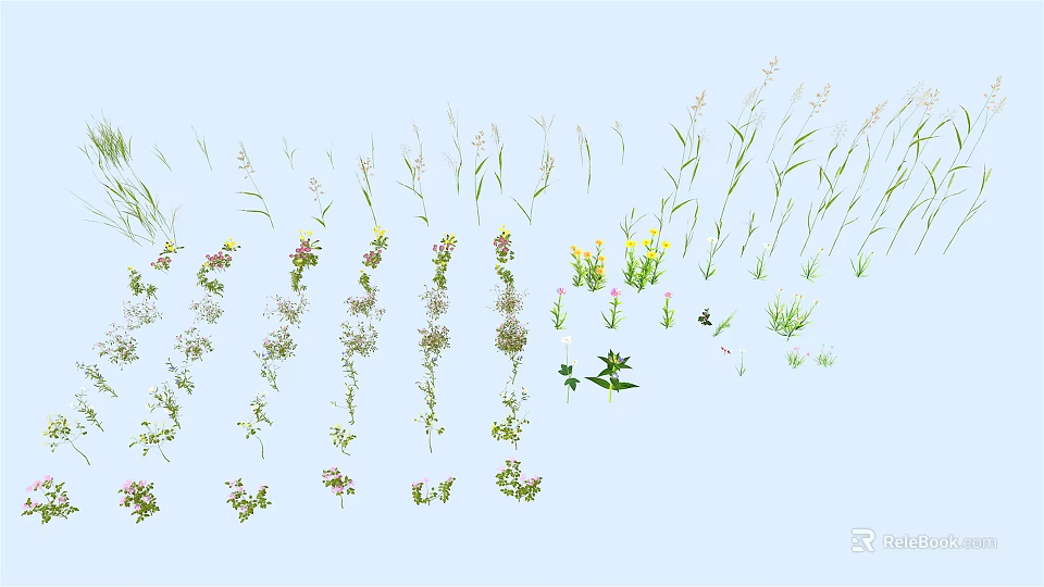 Different Kinds of Flowers and Plants Showcase With Green Foliage And Colorful Blooms 3d model 