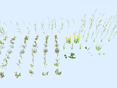Different Kinds of Flowers and Plants Showcase With Green Foliage And Colorful Blooms 3d model