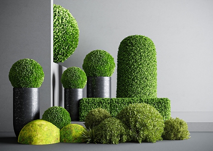 moss potted moss ball green plant potted green plant ball modern moss 3d model