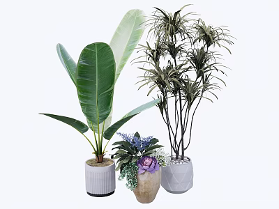Potted Bonsai Plants Featuring Large Leaves Slender Leaves And Purple Flowers In Ceramic Pots 3d model