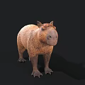 Realistic 3D Capybara Model With Brown Fur Standing On Black Background 3d model