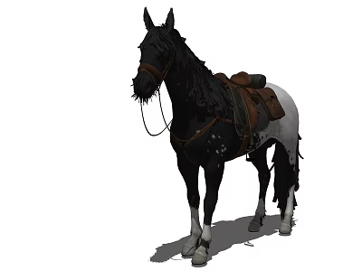 Black Mane Horse Standing With Saddle And Equipment On Body 3d model