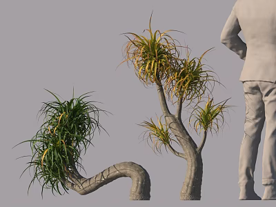 Ornamental Plants With Curved Trunks And Green Yellow Foliage Next To Standing Figure 3d model