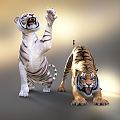 Modern Tiger White Tiger 3d model