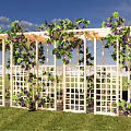 Wooden Pergola Covered With Green Vines Purple Grapes Stone Path Grass Lawn Wicker Basket