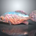 Iridescent Pink And Blue Fish With Red Eyes On Gray Background And Reflection