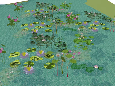 Vibrant Aquatic Plants Scene With Pink Lotus Flowers And Green Lily Pads 3d model