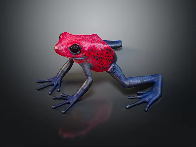 Vibrant Red Blue Frog Figurine Featuring Black Spots On Shiny Black Background With Reflection 3d model