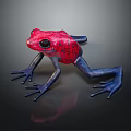 Vibrant Red Blue Frog Figurine Featuring Black Spots On Shiny Black Background With Reflection