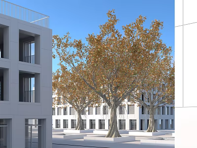 Arbor Trees with Yellow Leaves Standing Beside Modern Buildings Under Blue Sky 3d model