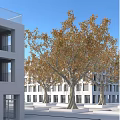 Arbor Trees with Yellow Leaves Standing Beside Modern Buildings Under Blue Sky