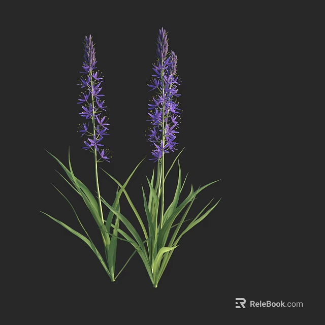 Tall Purple Flowers With Green Leaves And Stems Against Black Background 3d model 