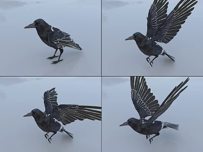 Realistic Black Crow In Various Poses Standing And Spreading Wings Details 3d model