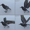 Realistic Black Crow In Various Poses Standing And Spreading Wings Details