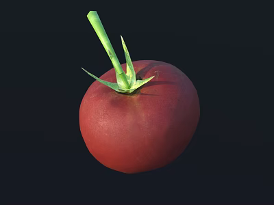 Ripe Red Tomato Fruit With Green Stem and Leaves Against Black Background 3d model