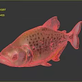 Vibrant Spotted Fish With Colorful Scales And Orange Yellow Green Hues On Gray Background