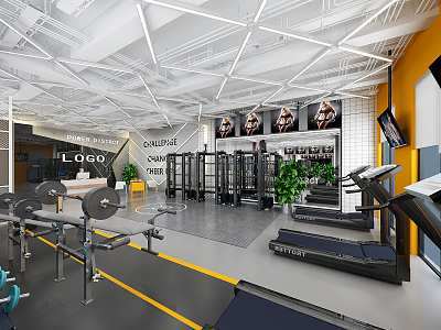 modern gym black and white gray gym 3d model