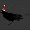 Black Bird As Flying Animal Wearing Red Santa Hat In Festive Look