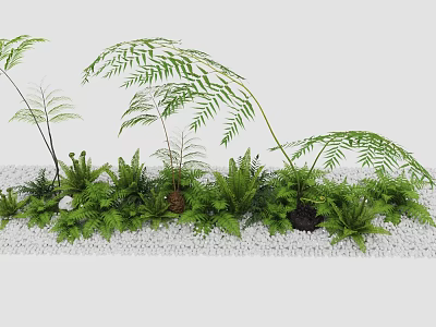 fern assemblage golden monkey fern wolftail fern 3d model
