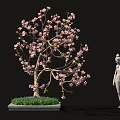 Bonsai Plant With Pink Blossoms And Elegant Branches In Decorative Square Pot With Stone Statue