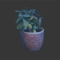 Potted Green Plant With Lush Leaves In Red Pot With White Patterns On Dark Table